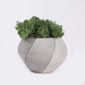 Főoldal plant4 free img